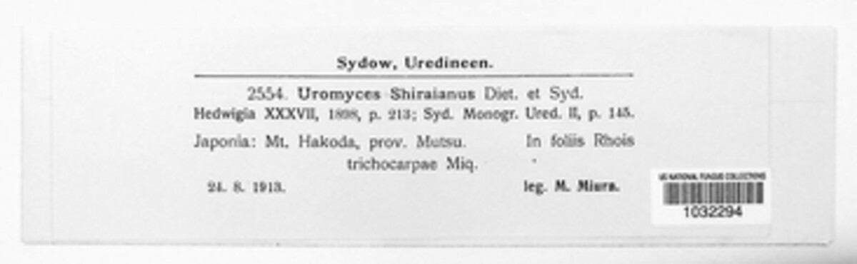 Pileolaria shiraiana image